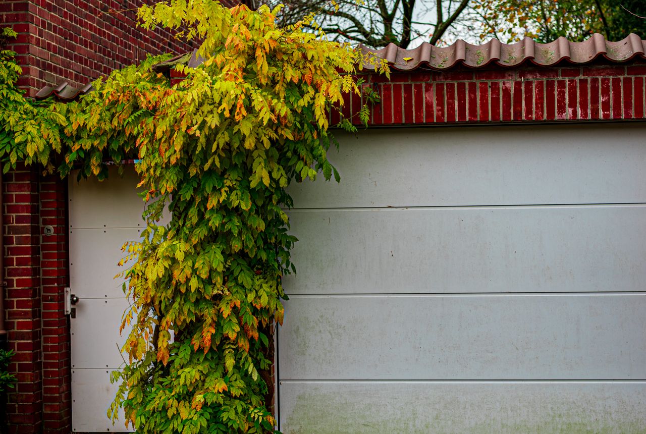 Garage door service in Laurel, MD